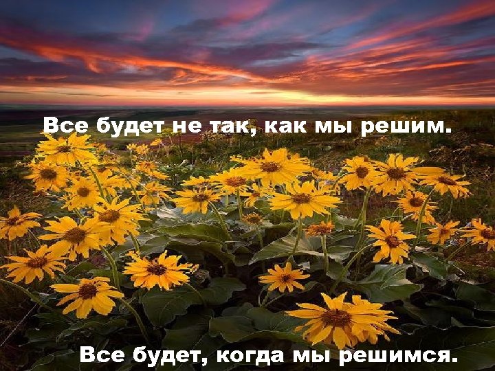 Все будет не так, как мы решим. Все будет, когда мы решимся. 