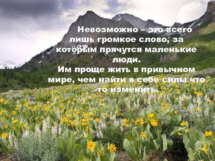 Невозможно – это всего лишь громкое слово, за которым прячутся маленькие люди. Им проще