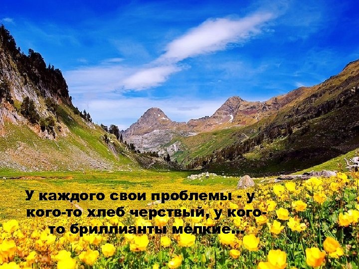 У каждого свои проблемы - у кого-то хлеб черствый, у когото бриллианты мелкие. .