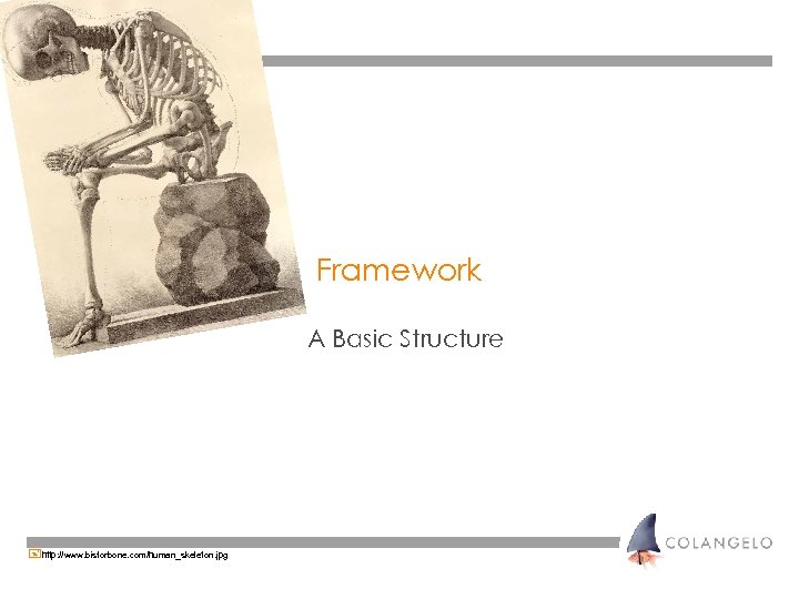 Framework A Basic Structure +http: //www. bisforbone. com/human_skeleton. jpg 