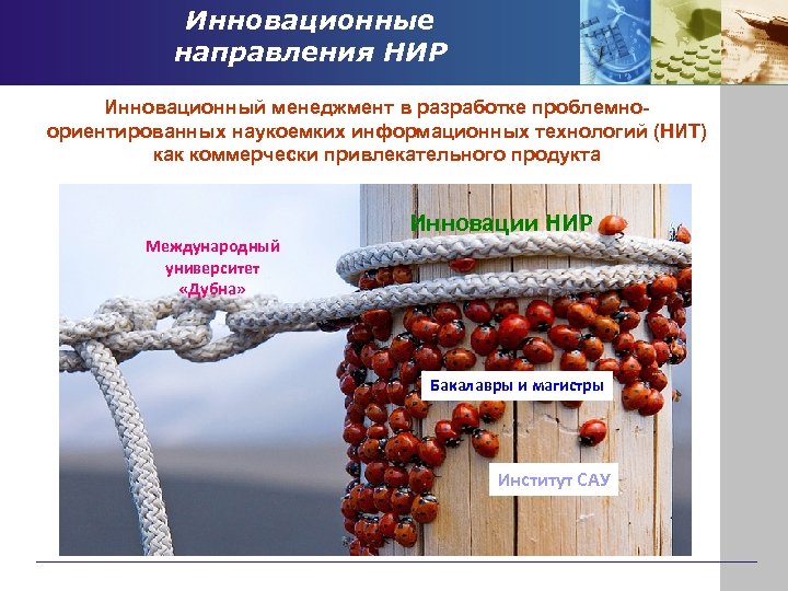 Инновационные направления НИР Инновационный менеджмент в разработке проблемноориентированных наукоемких информационных технологий (НИТ) как коммерчески