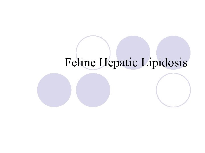 Feline Hepatic Lipidosis 