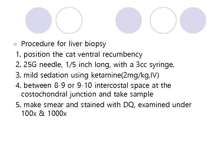 Procedure for liver biopsy 1. position the cat ventral recumbency 2. 25 G needle,