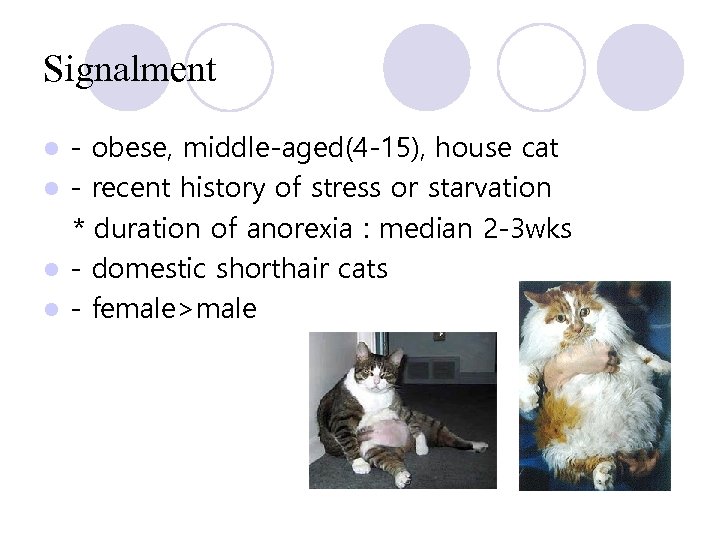 Signalment - obese, middle-aged(4 -15), house cat l - recent history of stress or