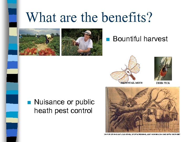 What are the benefits? n Bountiful harvest BROWNTAIL MOTH n DEER TICK Nuisance or