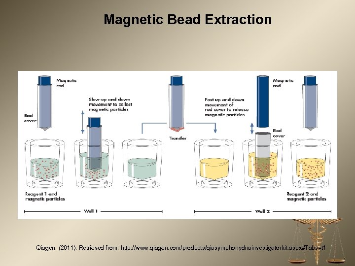 Magnetic Bead Extraction Qiagen. (2011). Retrieved from: http: //www. qiagen. com/products/qiasymphonydnainvestigatorkit. aspx#Tabs=t 1 