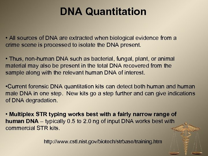 DNA Quantitation • All sources of DNA are extracted when biological evidence from a