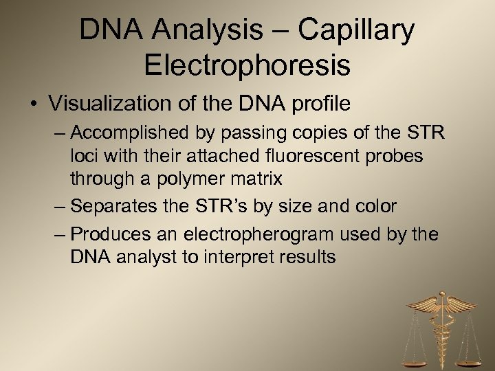 DNA Analysis – Capillary Electrophoresis • Visualization of the DNA profile – Accomplished by