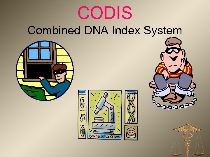 CODIS Combined DNA Index System 