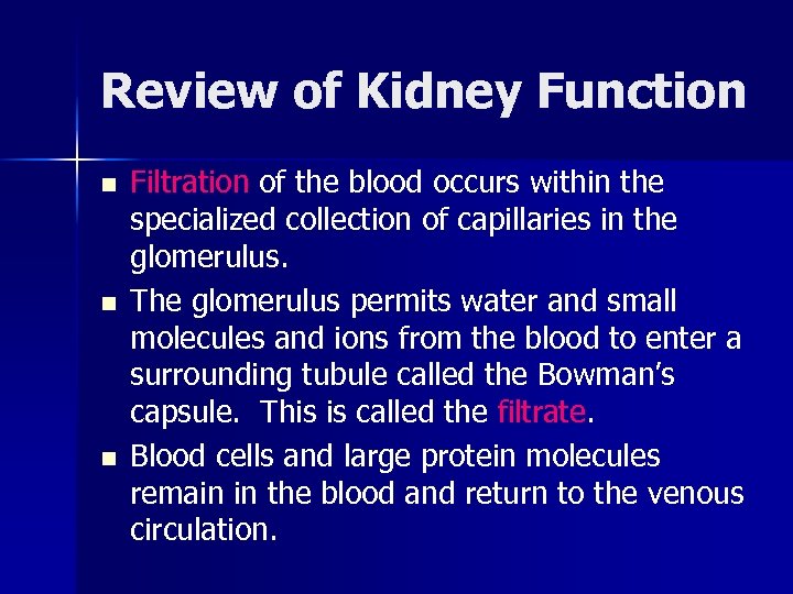 Review of Kidney Function n Filtration of the blood occurs within the specialized collection