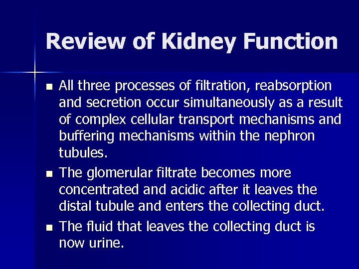 Review of Kidney Function n All three processes of filtration, reabsorption and secretion occur