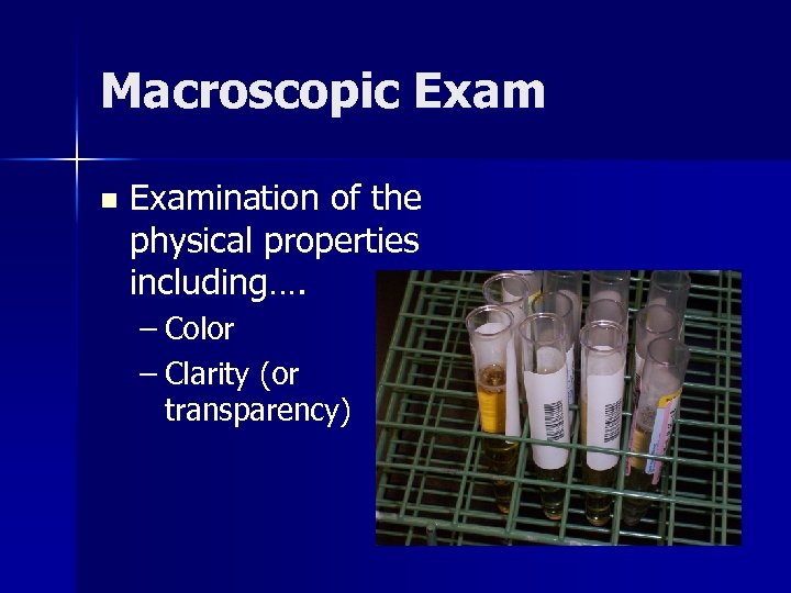 Macroscopic Exam n Examination of the physical properties including…. – Color – Clarity (or