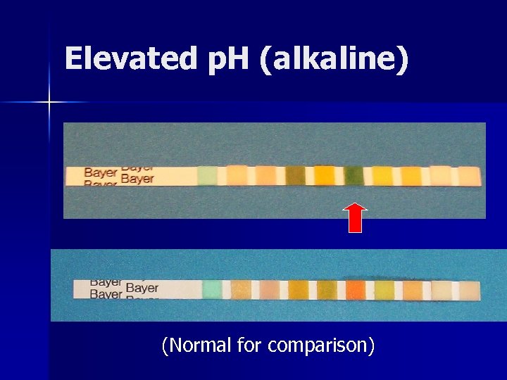 Elevated p. H (alkaline) (Normal for comparison) 