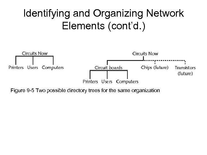 Identifying and Organizing Network Elements (cont’d. ) Figure 9 -5 Two possible directory trees