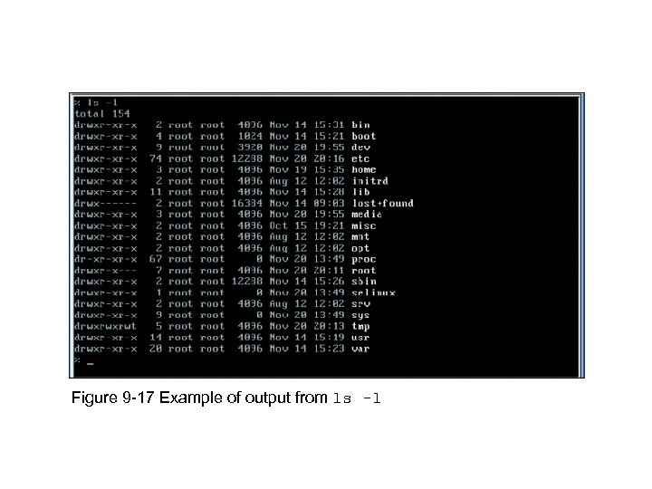 Figure 9 -17 Example of output from ls -l 