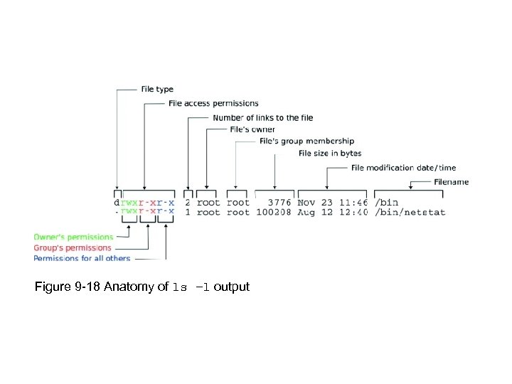 Figure 9 -18 Anatomy of ls –l output 