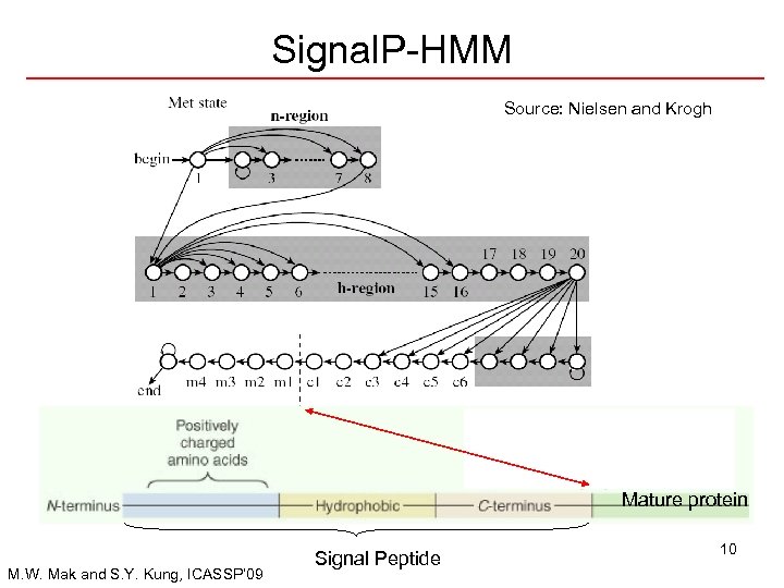 Signal. P-HMM Source: Nielsen and Krogh Mature protein M. W. Mak and S. Y.