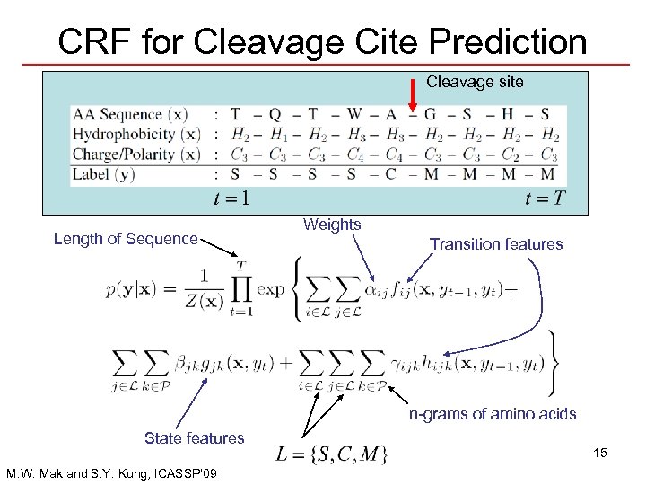 CRF for Cleavage Cite Prediction Cleavage site Length of Sequence Weights Transition features n-grams