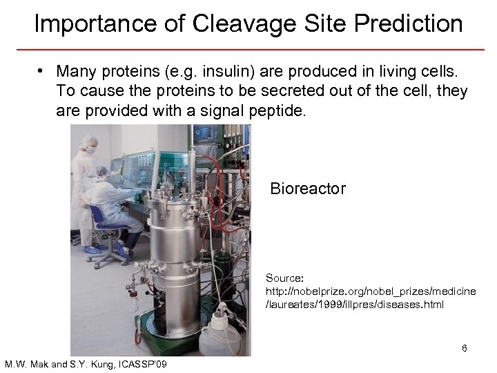 Importance of Cleavage Site Prediction • Many proteins (e. g. insulin) are produced in