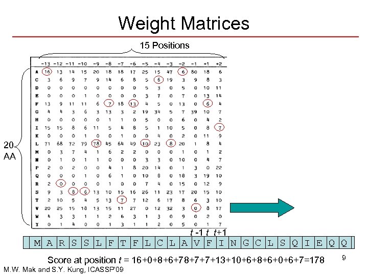 Weight Matrices 15 Positions 20 AA t -1 t t+1 M A R S