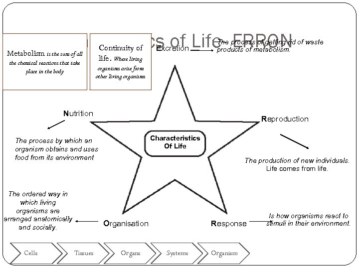 Characteristics of Life- ERRON Continuity of Metabolism is the sum of all the chemical