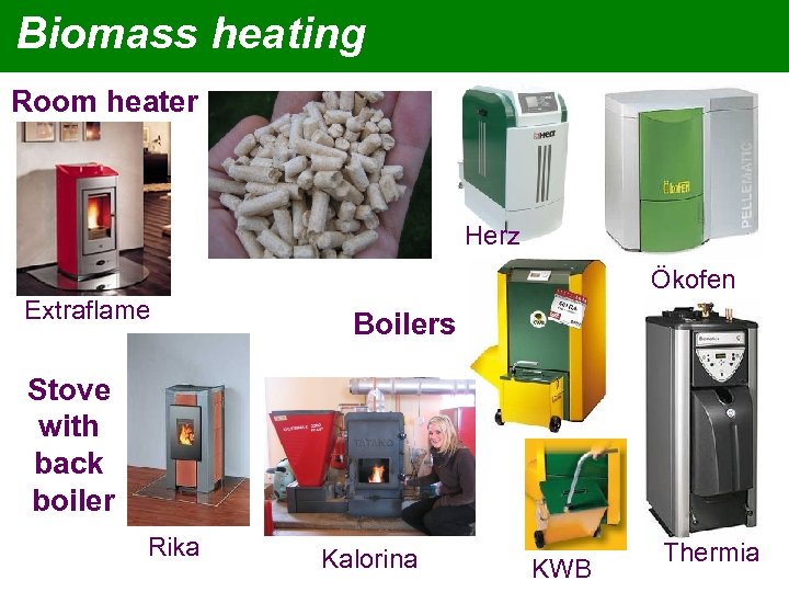 Biomass heating Room heater Herz Ökofen Extraflame Boilers Stove with back boiler Rika Kalorina