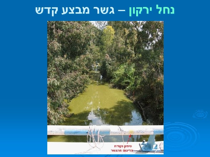  נחל ירקון – גשר מבצע קדש 