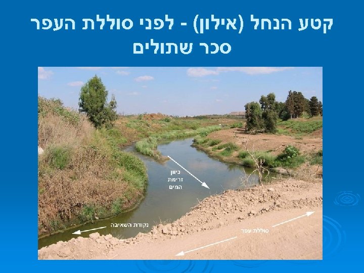  קטע הנחל )אילון( - לפני סוללת העפר סכר שתולים 