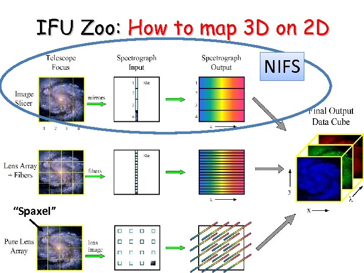 IFU Zoo: How to map 3 D on 2 D NIFS “Spaxel” 