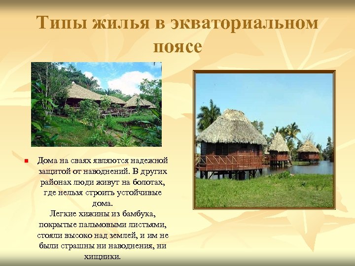 Виды жилья. Жилища в экваториальном поясе. Жилища в разных климатических поясах. Жилище в экваториальном поясе. Жилища людей в экваториальном поясе.