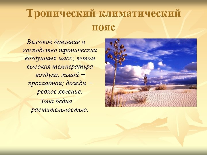 Тропический климатический пояс Высокое давление и господство тропических воздушных масс; летом высокая температура воздуха,