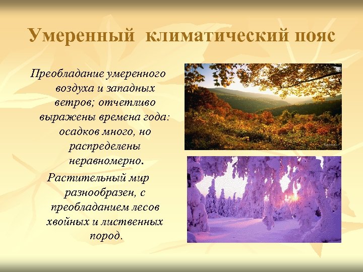 Умеренный климатический пояс Преобладание умеренного воздуха и западных ветров; отчетливо выражены времена года: осадков