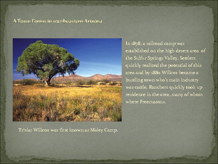 A Town Forms in southeastern Arizona In 1878, a railroad camp was established on