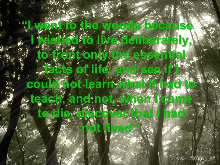 “I went to the woods because I wished to live deliberately, to front only