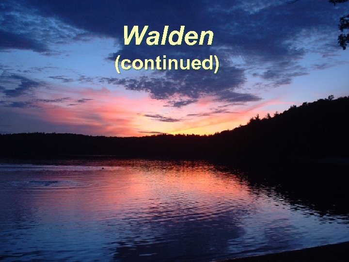 Walden (continued) 