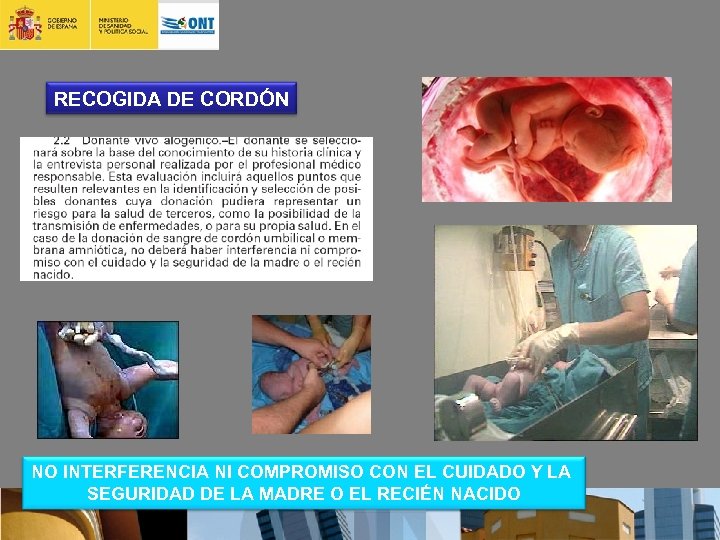 RECOGIDA DE CORDÓN NO INTERFERENCIA NI COMPROMISO CON EL CUIDADO Y LA SEGURIDAD DE