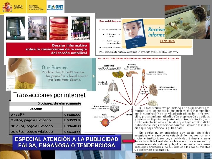 Opciones de Almacenamiento Período Costo Anual** US$80. 00 + IVA 5 años, pago anticipado