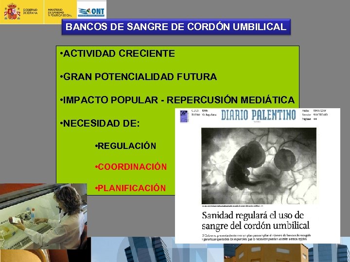 BANCOS DE SANGRE DE CORDÓN UMBILICAL • ACTIVIDAD CRECIENTE • GRAN POTENCIALIDAD FUTURA •