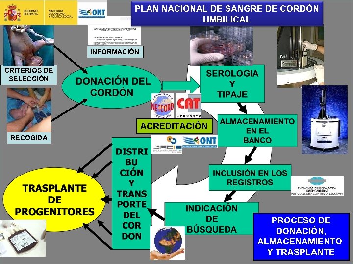 PLAN NACIONAL DE SANGRE DE CORDÓN UMBILICAL INFORMACIÓN CRITERIOS DE SELECCIÓN ACREDITACIÓN RECOGIDA PROCESO