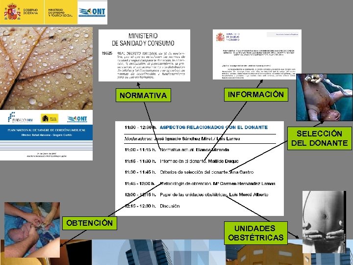 NORMATIVA INFORMACIÓN SELECCIÓN DEL DONANTE OBTENCIÓN UNIDADES OBSTÉTRICAS 