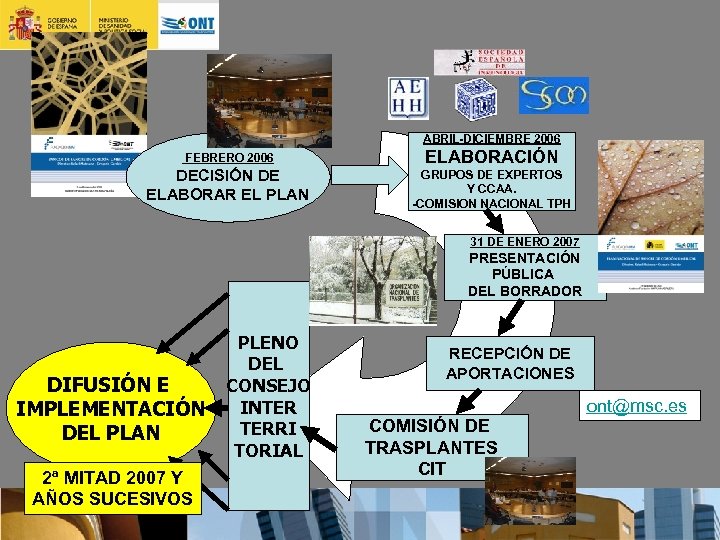 ABRIL-DICIEMBRE 2006 FEBRERO 2006 DECISIÓN DE ELABORAR EL PLAN ELABORACIÓN GRUPOS DE EXPERTOS Y