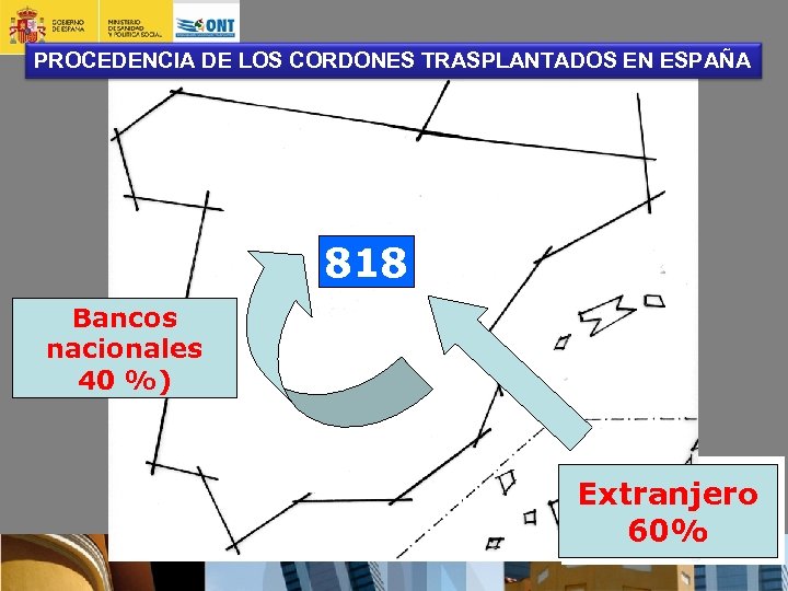 PROCEDENCIA DE LOS CORDONES TRASPLANTADOS EN ESPAÑA 818 Bancos nacionales 40 %) Extranjero 60%