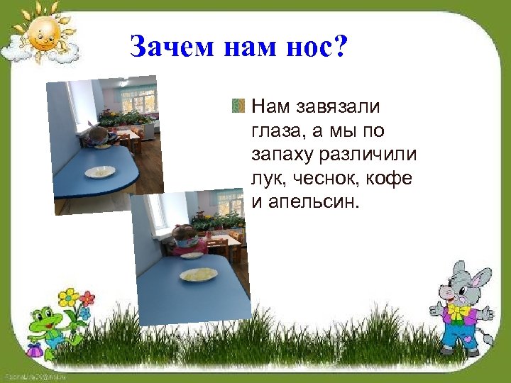 Зачем нам нос? Нам завязали глаза, а мы по запаху различили лук, чеснок, кофе