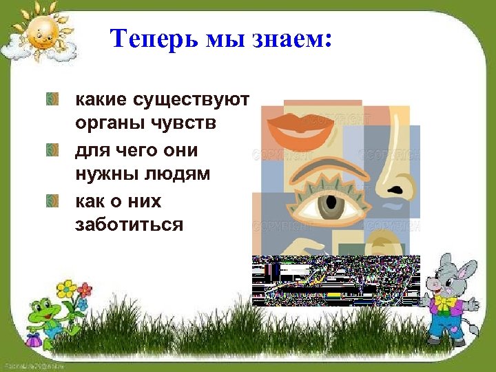 Теперь мы знаем: какие существуют органы чувств для чего они нужны людям как о