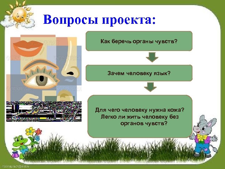 Вопросы проекта: Как беречь органы чувств? Зачем человеку язык? Для чего человеку нужна кожа?