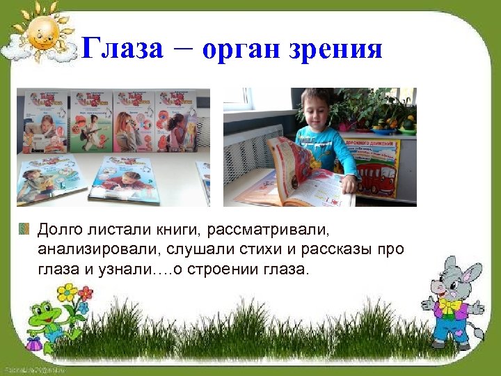 Глаза – орган зрения Долго листали книги, рассматривали, анализировали, слушали стихи и рассказы про