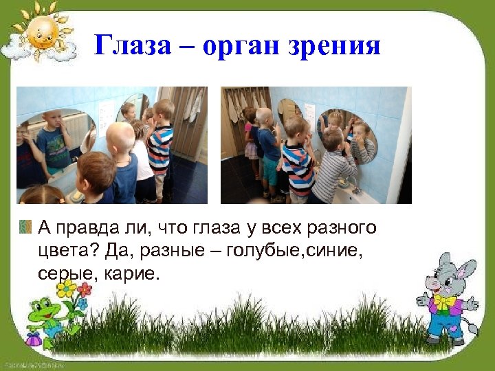 Глаза – орган зрения А правда ли, что глаза у всех разного цвета? Да,