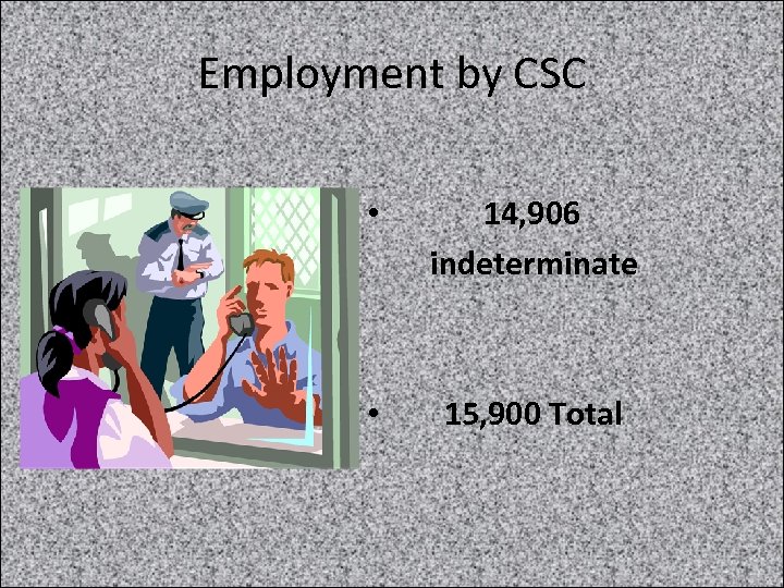 Employment by CSC • 14, 906 indeterminate • 15, 900 Total 