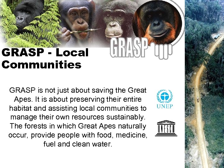 GRASP - Local Communities GRASP is not just about saving the Great Apes. It