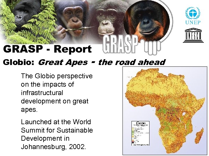GRASP - Report Globio: Great Apes - The Globio perspective on the impacts of